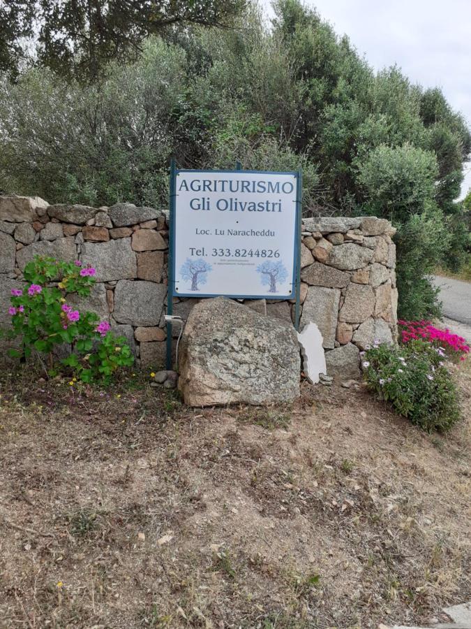 Gli Olivastri Con Piscina,Solarium, Vista Mare ,Sole -Mare E Tanta Natura ,Climatizzatore,Wifi Aglientu Exteriör bild
