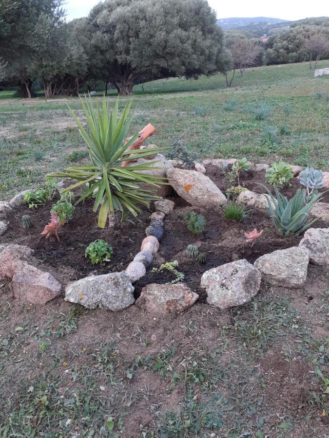 Gli Olivastri Con Piscina,Solarium, Vista Mare ,Sole -Mare E Tanta Natura ,Climatizzatore,Wifi Aglientu Exteriör bild