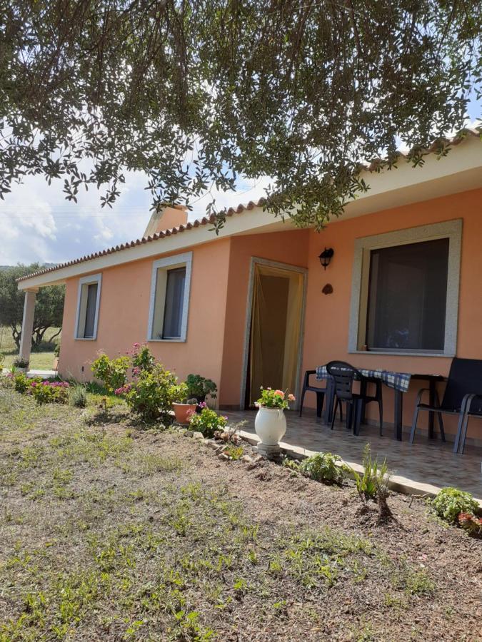 Gli Olivastri Con Piscina,Solarium, Vista Mare ,Sole -Mare E Tanta Natura ,Climatizzatore,Wifi Aglientu Exteriör bild