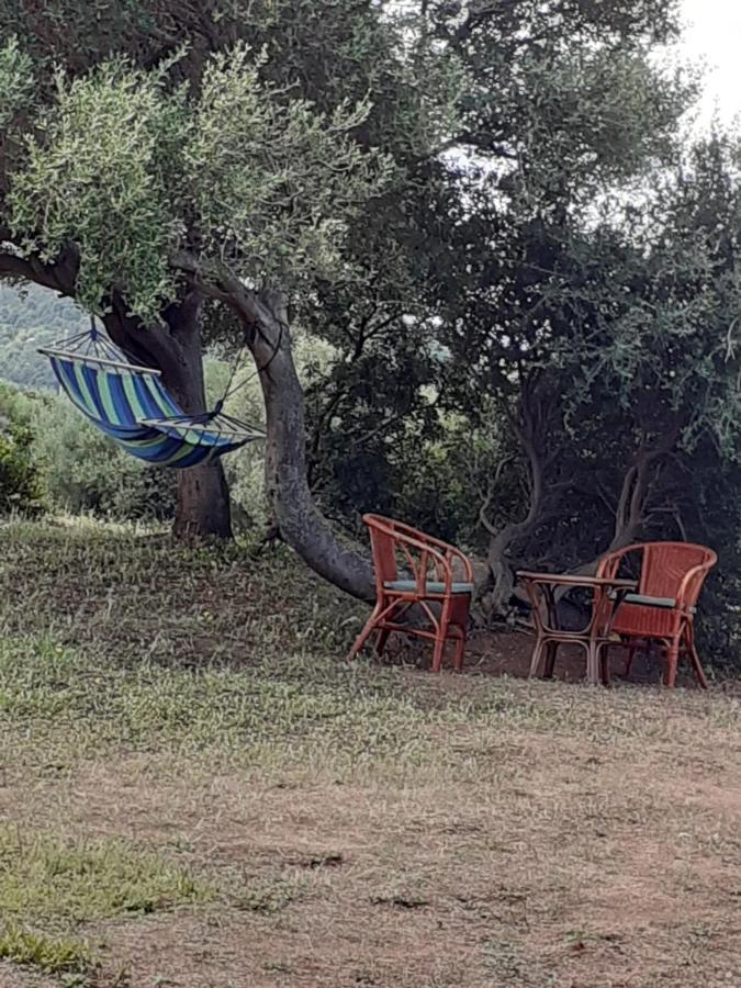Gli Olivastri Con Piscina,Solarium, Vista Mare ,Sole -Mare E Tanta Natura ,Climatizzatore,Wifi Aglientu Exteriör bild