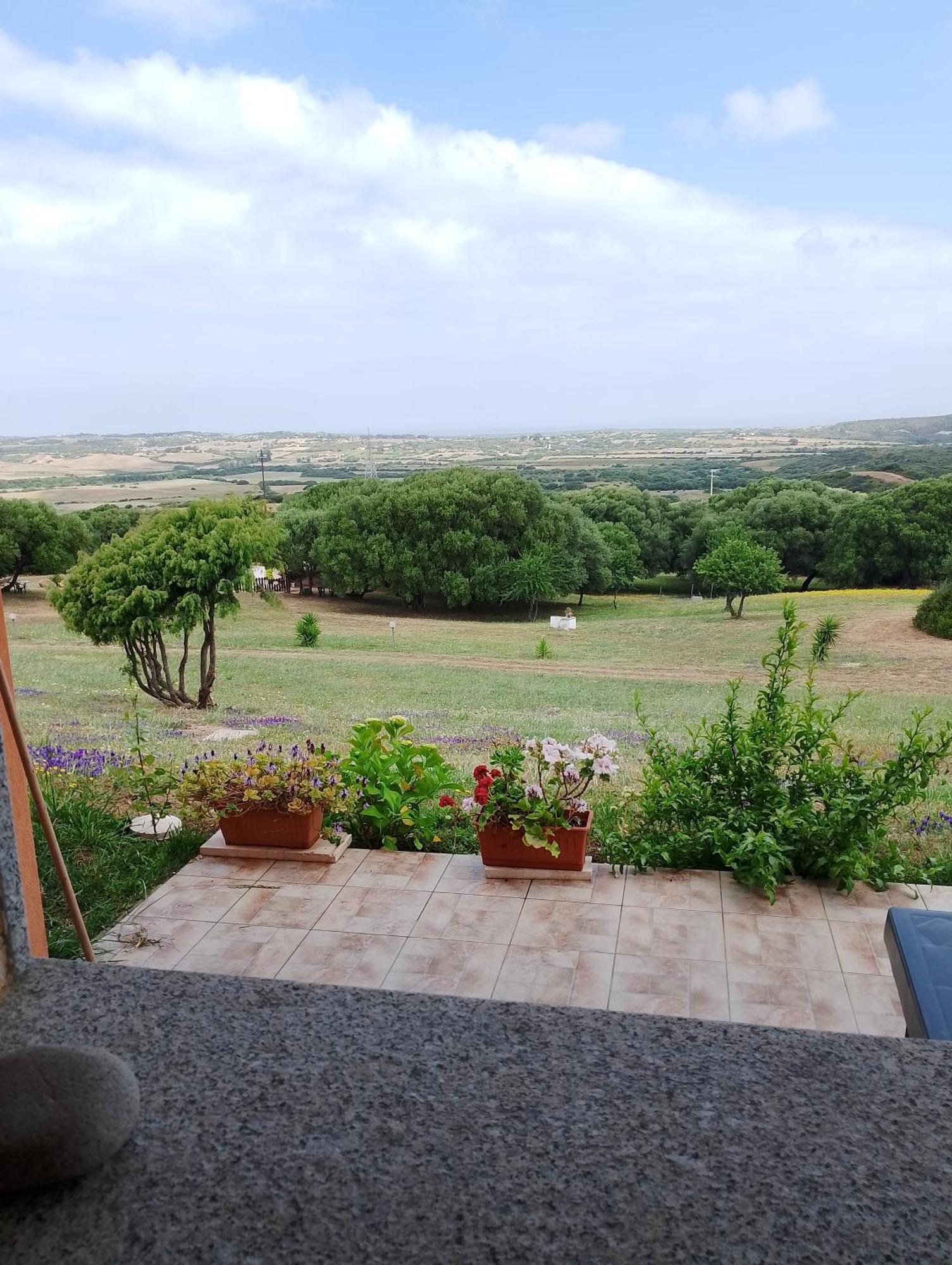 Gli Olivastri Con Piscina,Solarium, Vista Mare ,Sole -Mare E Tanta Natura ,Climatizzatore,Wifi Aglientu Exteriör bild