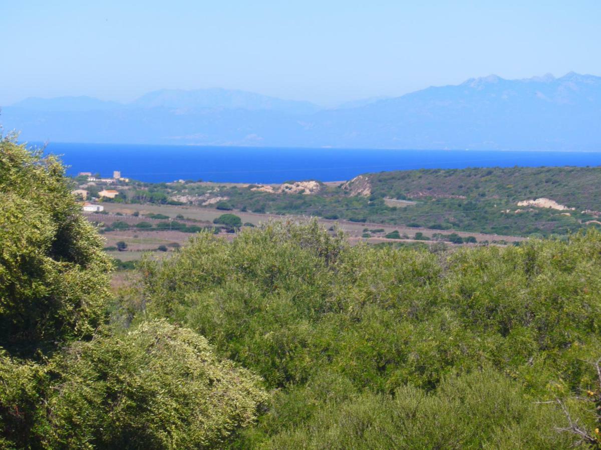 Gli Olivastri Con Piscina,Solarium, Vista Mare ,Sole -Mare E Tanta Natura ,Climatizzatore,Wifi Aglientu Exteriör bild