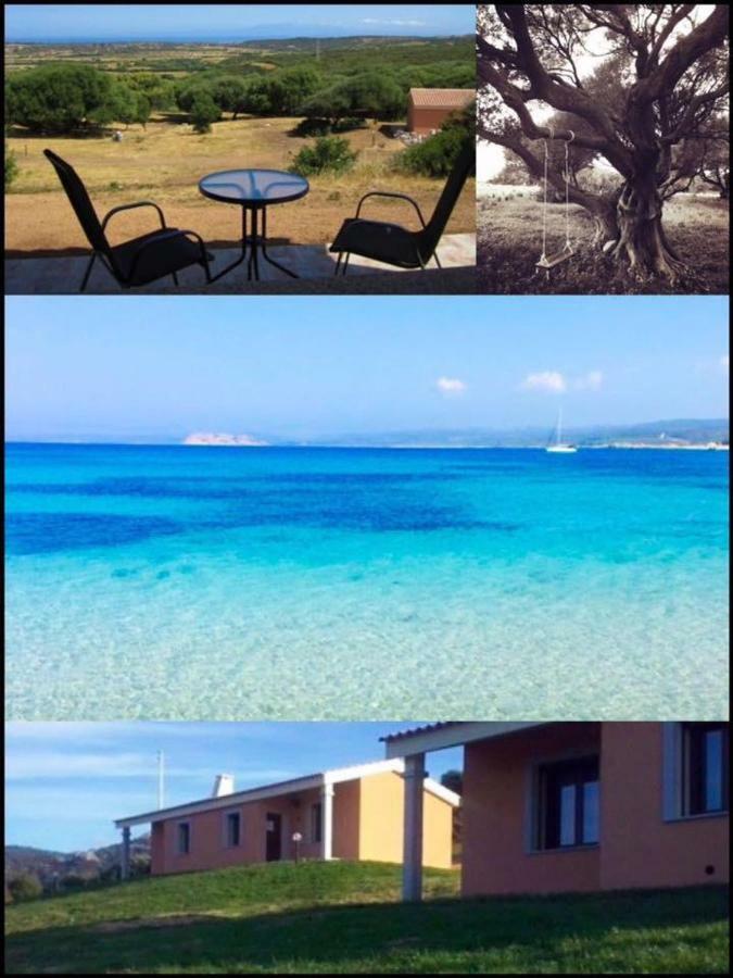 Gli Olivastri Con Piscina,Solarium, Vista Mare ,Sole -Mare E Tanta Natura ,Climatizzatore,Wifi Aglientu Exteriör bild