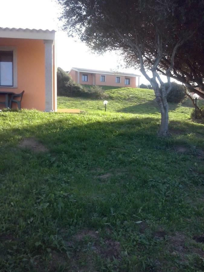 Gli Olivastri Con Piscina,Solarium, Vista Mare ,Sole -Mare E Tanta Natura ,Climatizzatore,Wifi Aglientu Exteriör bild